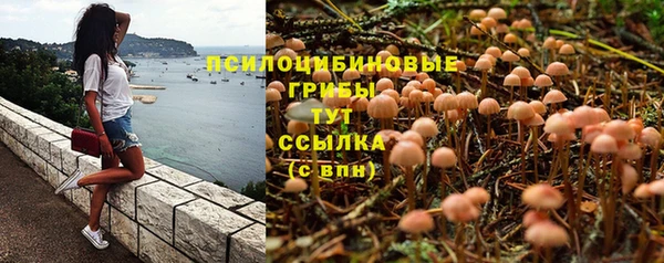 мяу мяу мука Алзамай