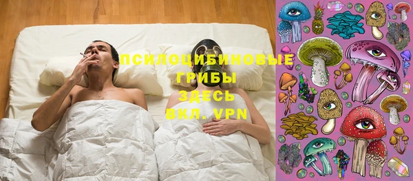 мяу мяу мука Алзамай