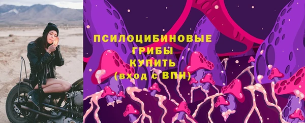 круглые Алексеевка